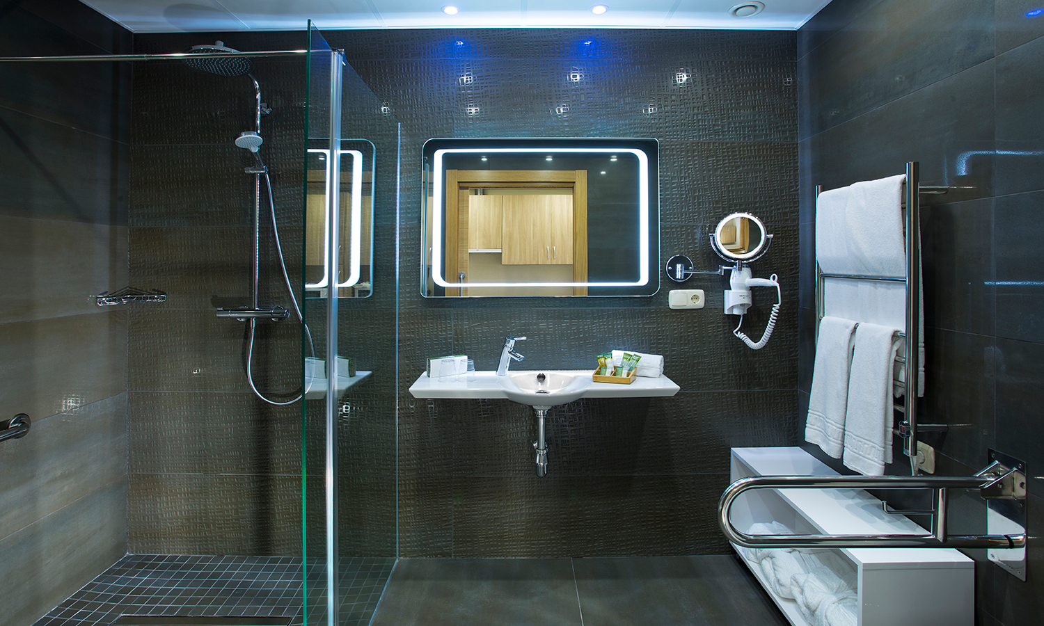 Bathroom: Wheel-in shower with grab rail, WC height minimum 80cm, Horizontal grab rail next to WC, adjustable magnifying mirror with light
